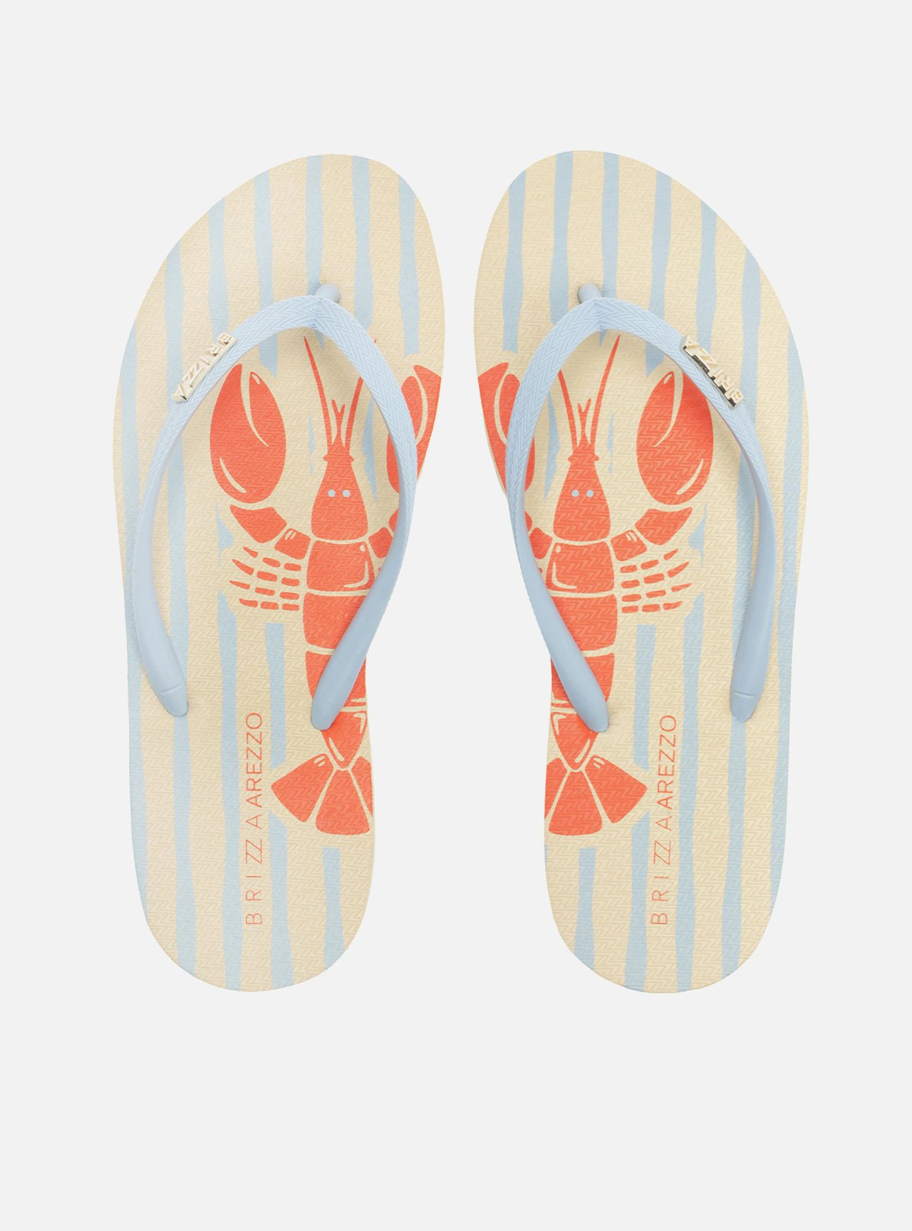 Chinelo de Dedo Azul