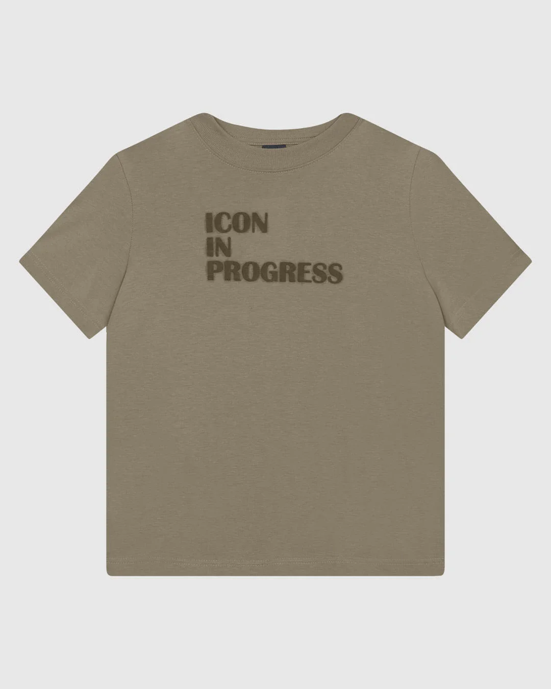 Camiseta Feminina Slim Efeito Aveludado Icon In Progress Em Algodão - ENFIM