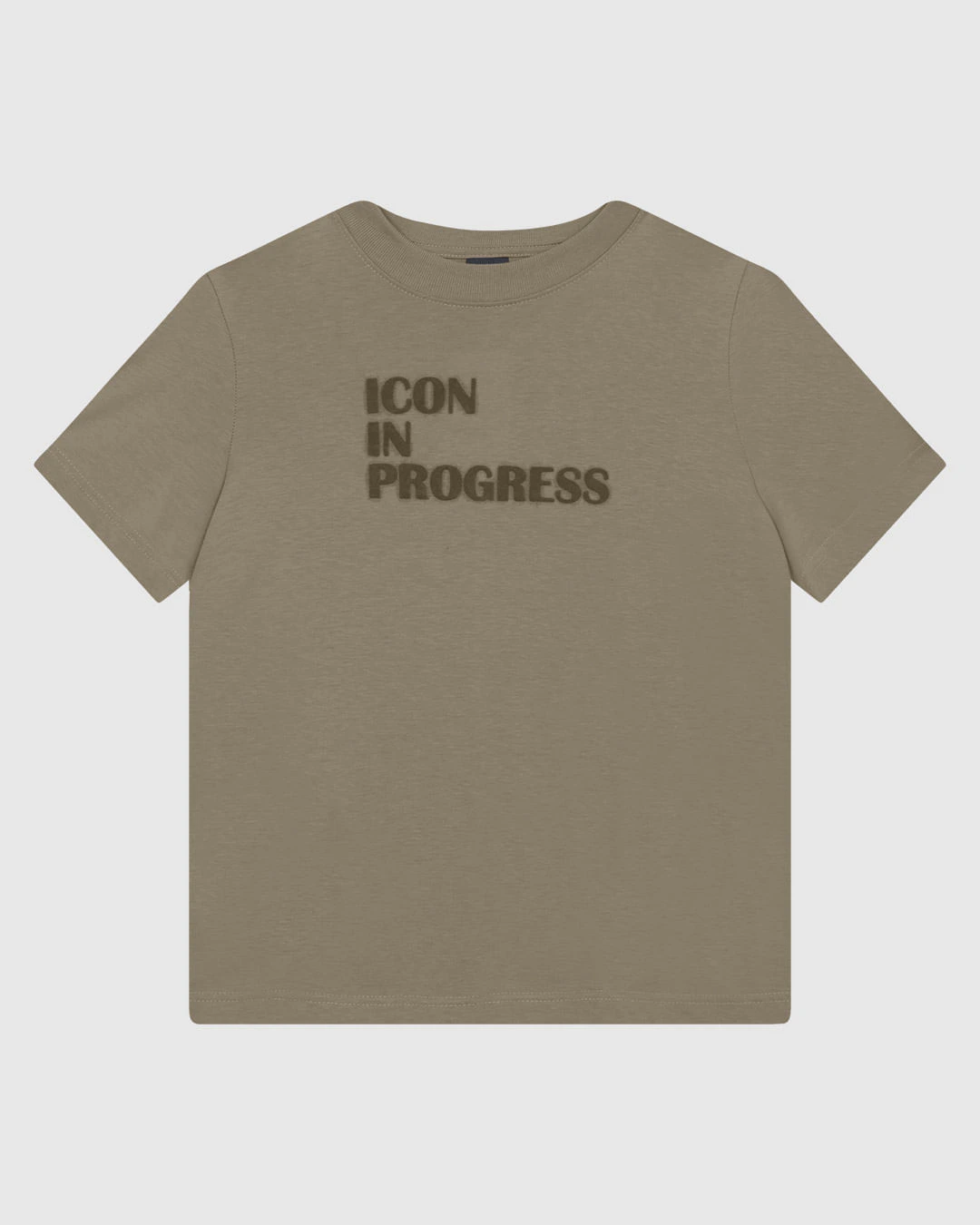 Camiseta Feminina Slim Efeito Aveludado Icon In Progress Em Algodão - ENFIM